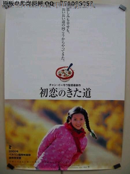 一比一仿瑞士驾驶证